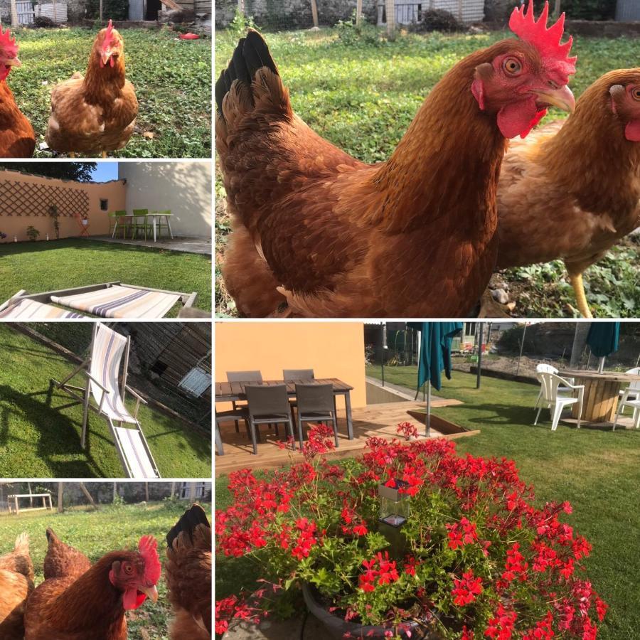 Les Gites De La Frerie La Gaubretiere Exterior foto